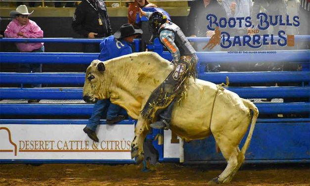 The Fall Rodeo Season is Almost Upon us at the Silver Spurs Arena… It’s Boots, Bulls and Barrels!
