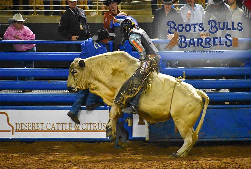 The Fall Rodeo Season is Almost Upon us at the Silver Spurs Arena… It’s Boots, Bulls and Barrels!