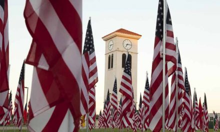 Valencia College to Pay Virtual Tribute to 911 Victims, 2,977 flags on display at Valencia Osceola Campus