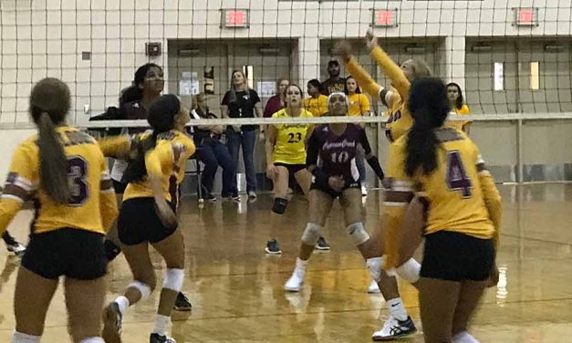 Take a Look at the Osceola School District’s Girls Volleyball Teams!