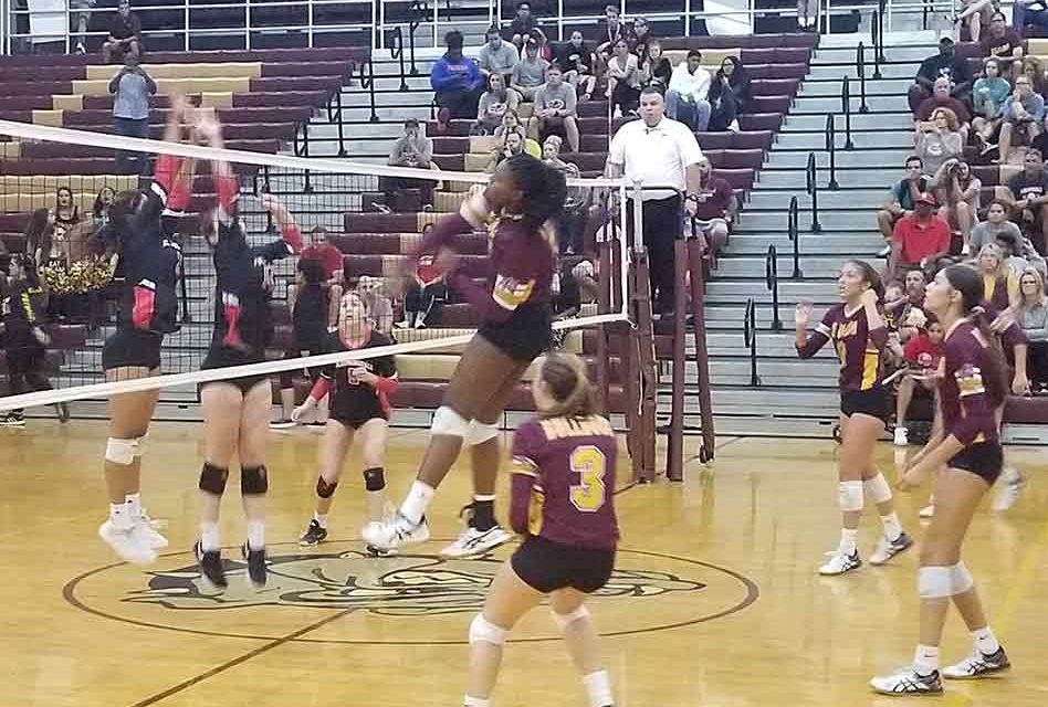St. Cloud Bulldogs bring the “Boom” with big volleyball win; regional finals next week