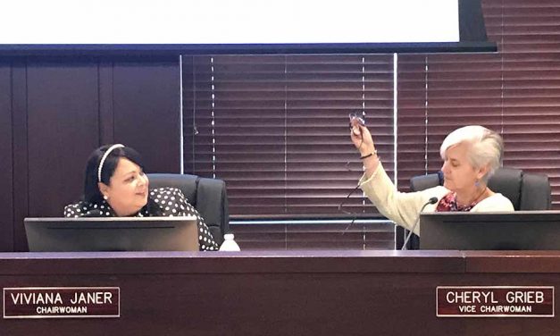 Viviana Janer is new Osceola County Commission chairwoman