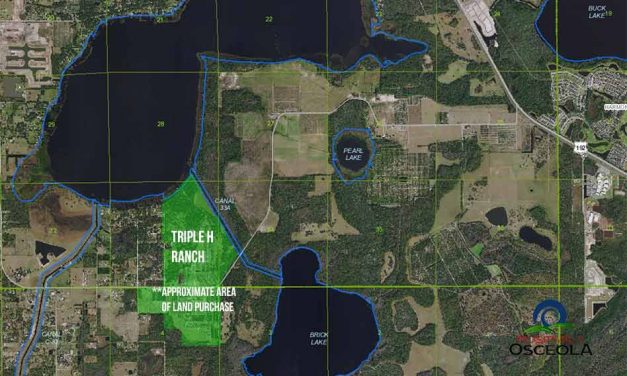 500 acres of Osceola citrus groves near Alligator Lake sold for $12M