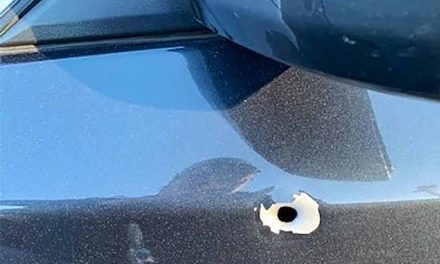 Four vehicles hit by gun fire early Monday morning on I4 near Osceola-Orange county line