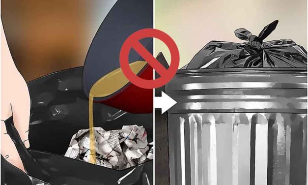 Grease, cooking oil, hazardous waste or materials, and garbage don’t mix, but there are solutions in Osceola County