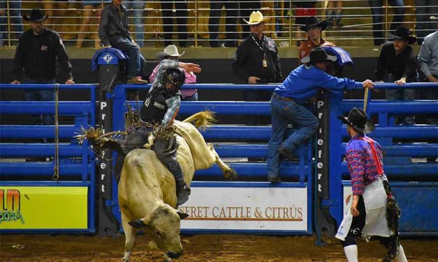 Monster Bulls kicks off busy local rodeo season Feb. 15 at Osceola Heritage Park’s Silver Spurs Arena in Kissimmee