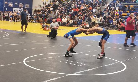 Osceola, Harmony win district wrestling titles; 58 athletes on to Friday’s regional round