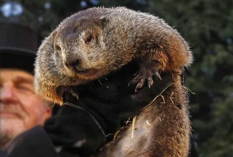 Groundhog day announcement: Punxsutawney Phil doesn’t see his shadow, predicts early spring