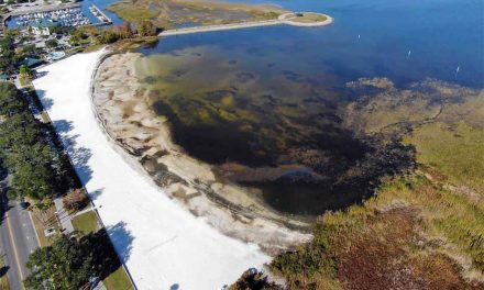 St. Cloud to conduct aerial herbicide treatment for aquatic vegetation restoration project at Lakefront