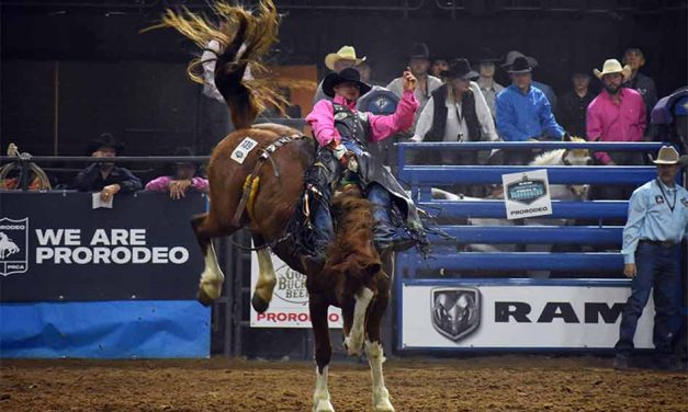 Only days away from RAM National Circuit Finals Rodeo in Kissimmee!