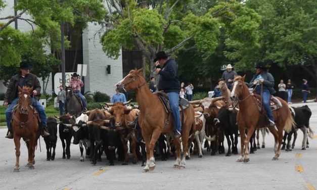 RAM Rodeo cattle drive returns to downtown Kissimmee’s Broadway March 30