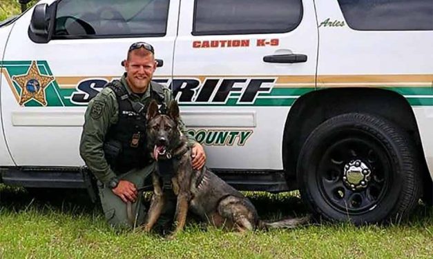 Vested Interest in K9s provides 4 Osceola Sheriff’s Office dogs new protective vests
