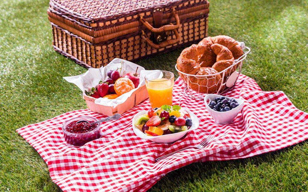 Today is April 23rd — it’s National Picnic Day!