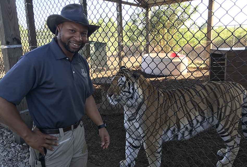 Central Florida Animal Reserve brings big cats to fans with online mini-educational series