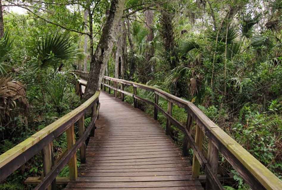 State Parks part of Gov. DeSantis’ Phase I opening of Florida on Monday