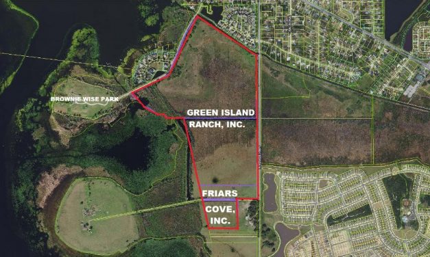 Osceola County adds 174 acres of land for conservation just east of Brownie Wise Park
