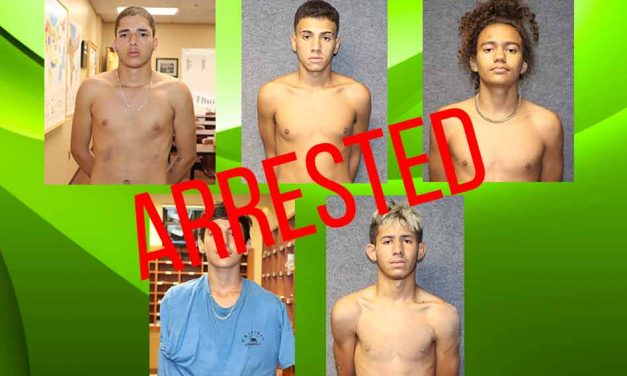 Teenagers arrested in connection with a series of armed robberies, aggravated assaults in Osceola