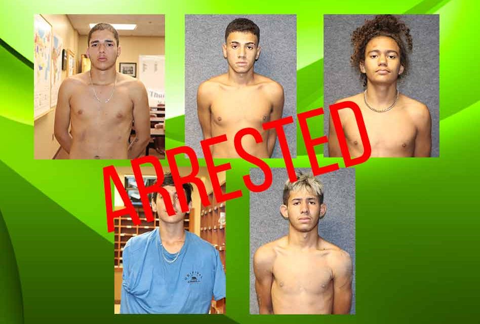 Teenagers arrested in connection with a series of armed robberies, aggravated assaults in Osceola