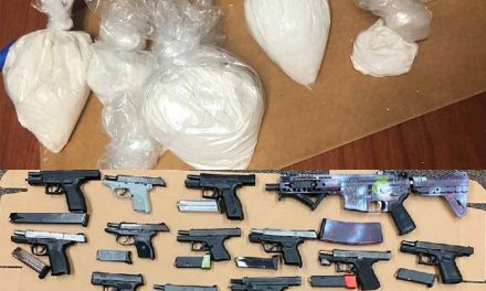 33 arrests and 16 firearms confiscated during “Operation Party Stoppers” in Osceola