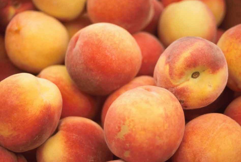Peaches sold at Aldi, Target, Walmart, and Kroger have been recalled after Salmonella outbreak