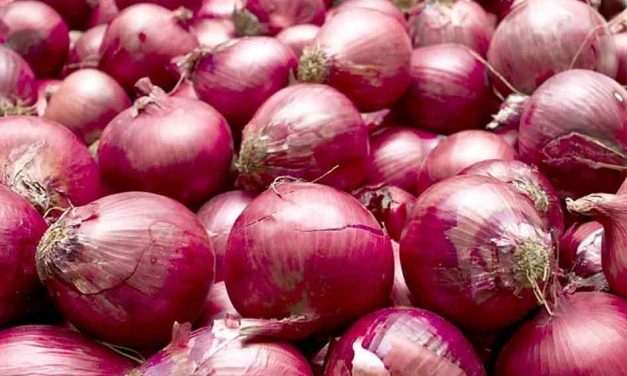 Red Onions linked to Salmonella outbreak nationally, including Florida, FDA says