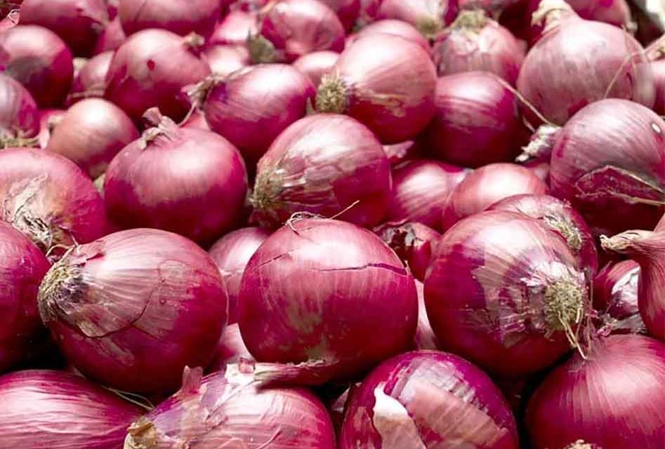 Red Onions linked to Salmonella outbreak nationally, including Florida, FDA says
