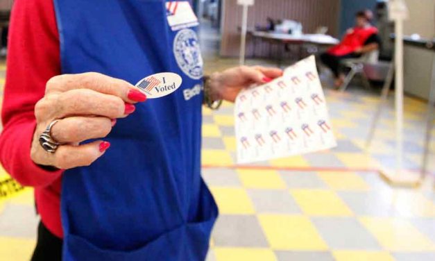 How to stay safe and avoid long lines on Tuesday’s Election Day in Osceola