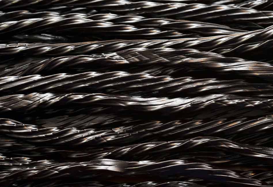 Black Licorice Kills at Denis Ruhl blog