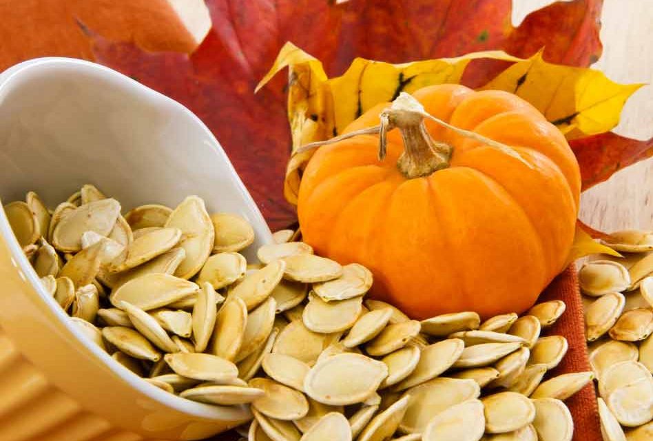 It’s October 7th, and that means it’s National Pumpkin Seed Day!
