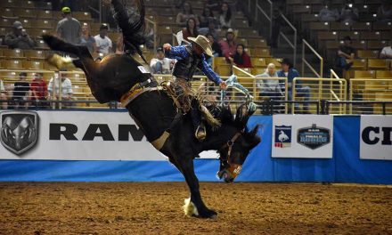 Experience the best of the best in professional rodeo action this weekend at the Silver Spurs Arena