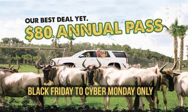 Wild Florida announces “WILD” Black Friday thru Cyber Monday Drive-thru Safari Annual Pass Deal