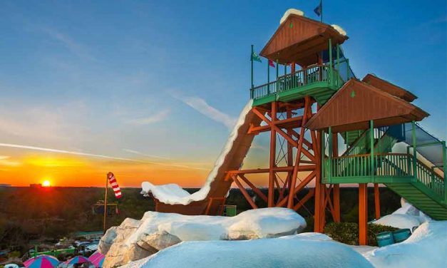 Disney’s Blizzard Beach Water Park Set to Reopen, Disney Water Park Tickets Now Available!