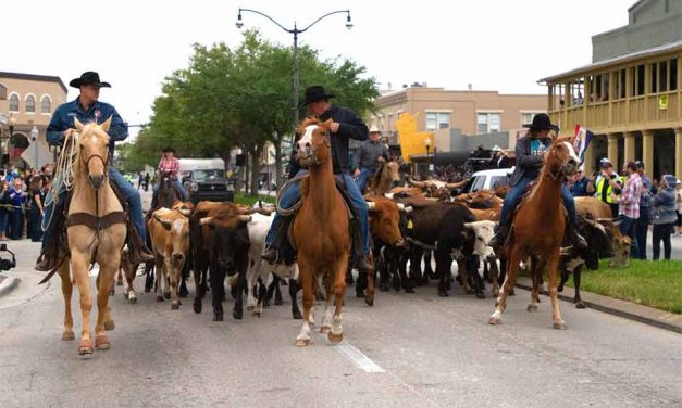 Kissimmee announces temporary road closures in Downtown Kissimmee for 2021 Cattle Drive event Monday