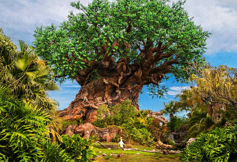 Disney's Animal Kingdom Theme Park to feature Earth Week Experiences April  18-24