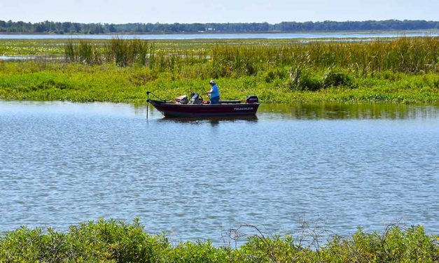 Florida Fish and Wildlife Commission treating Lake Toho for hydrilla and other aquatic plants this week