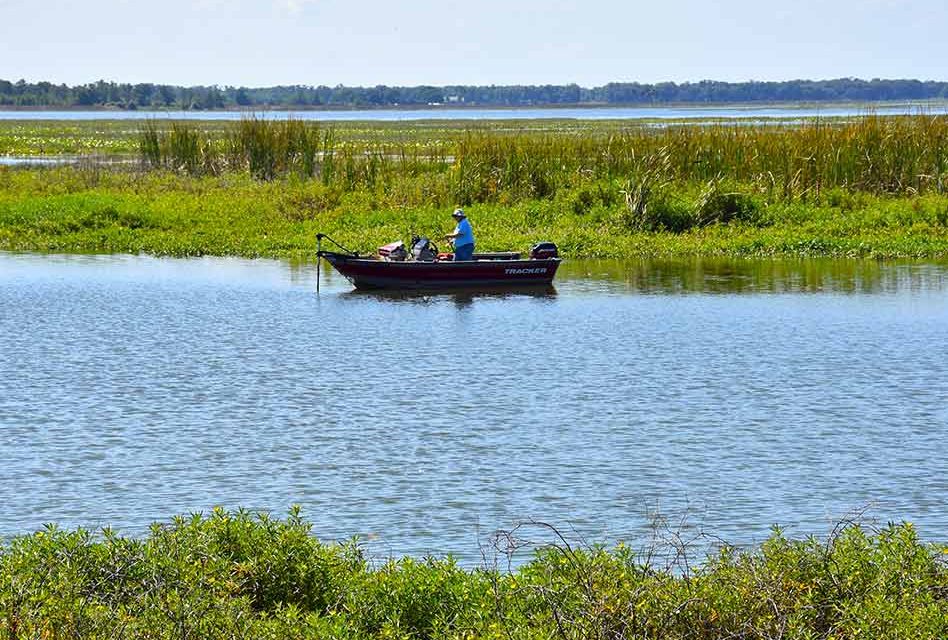 Florida Fish and Wildlife Commission treating Lake Toho for hydrilla and other aquatic plants this week
