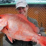 FWC announces opening of fall recreational red snapper season in Gulf
