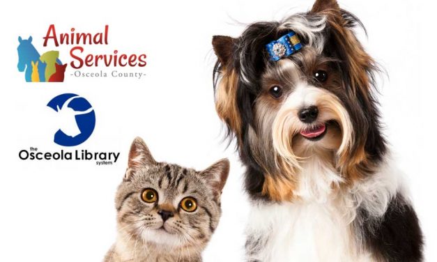 Dog and cat adoption prices are 50% off in Osceola County, just show your Osceola Library Card!