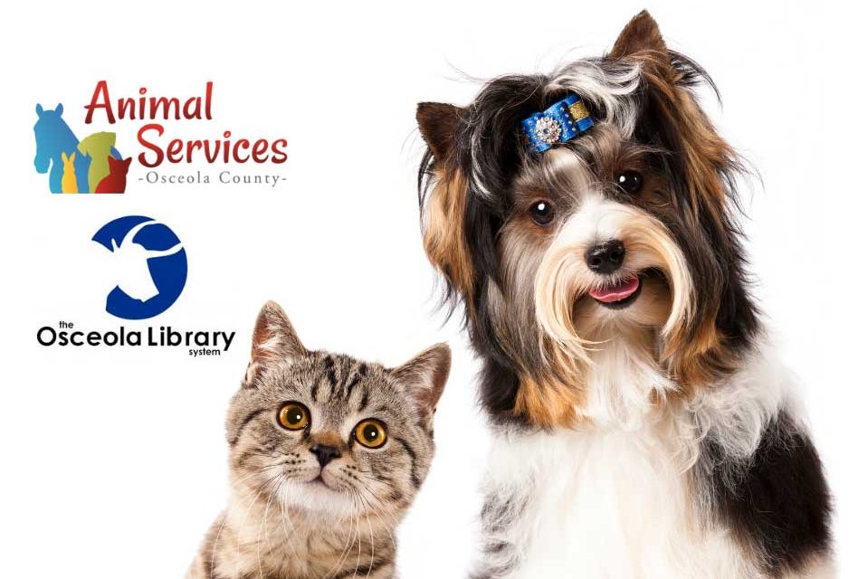 Dog and cat adoption prices are 50% off in Osceola County, just show your Osceola Library Card!