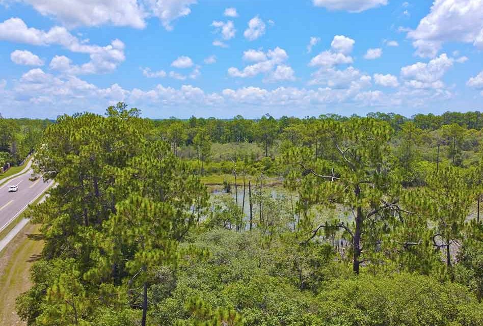 Osceola County Purchases 40-acres in Four Corners Area for Westside “Smart Park”