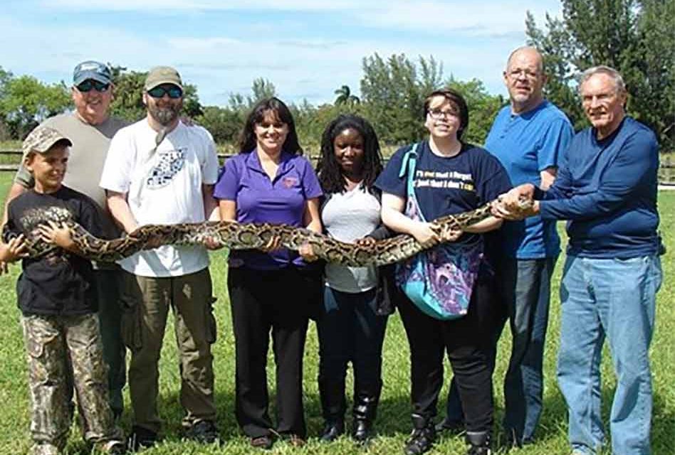 FWC looking for help in controlling wild Burmese pythons in Florida. Are you up to the Challenge?