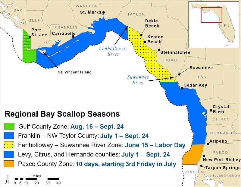 Bay Scallop Map Florida