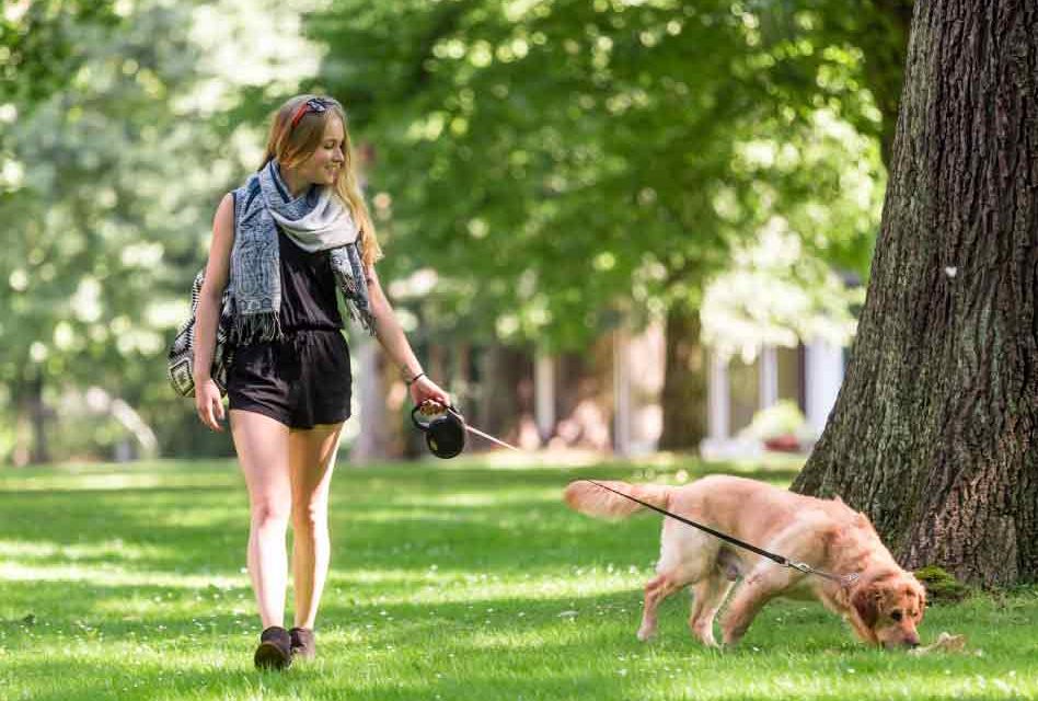 Orlando Health: Prevent Dog-Walking Injuries with These Tips