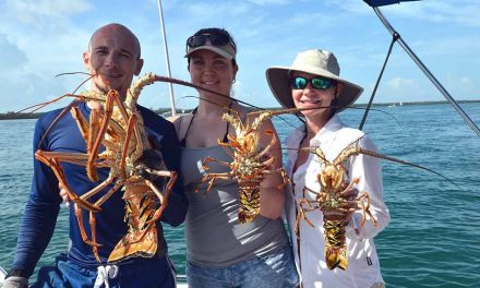 Spiny lobster seasons begins soon, two-day recreational mini-season July 28-29