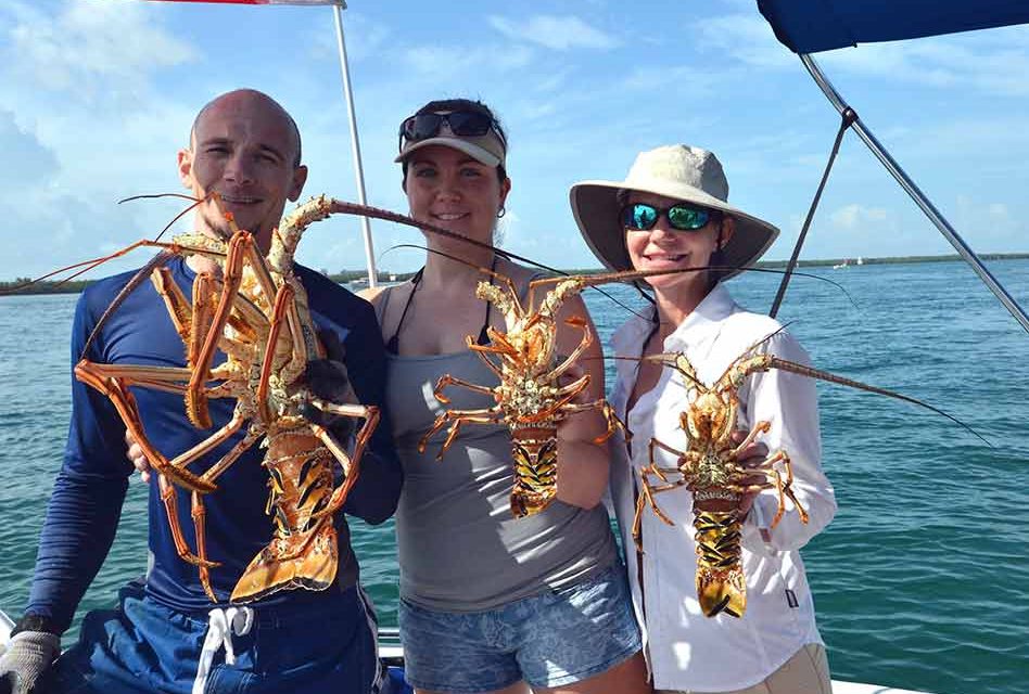 Spiny lobster seasons begins soon, two-day recreational mini-season July 28-29