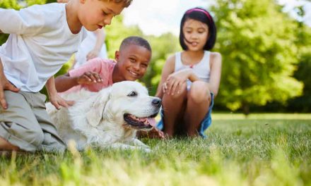 Orlando Health: Get a Pet To Boost Your Child’s Immune System