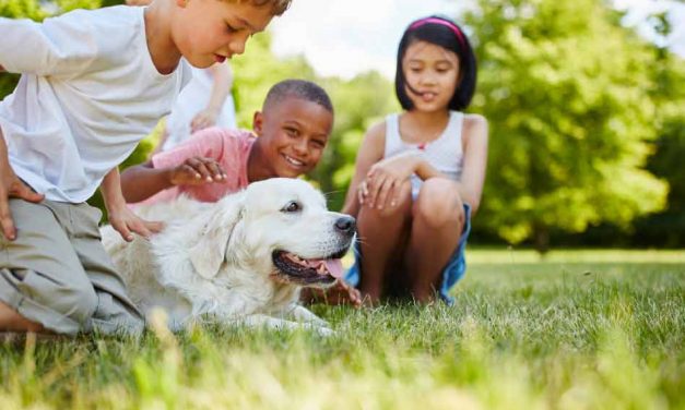 Orlando Health: Get a Pet To Boost Your Child’s Immune System