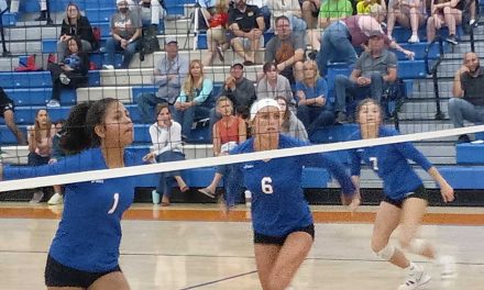 Harmony Longhorns’ Girls Volleyball Season Ends, Gateway Panthers Survives and Advances