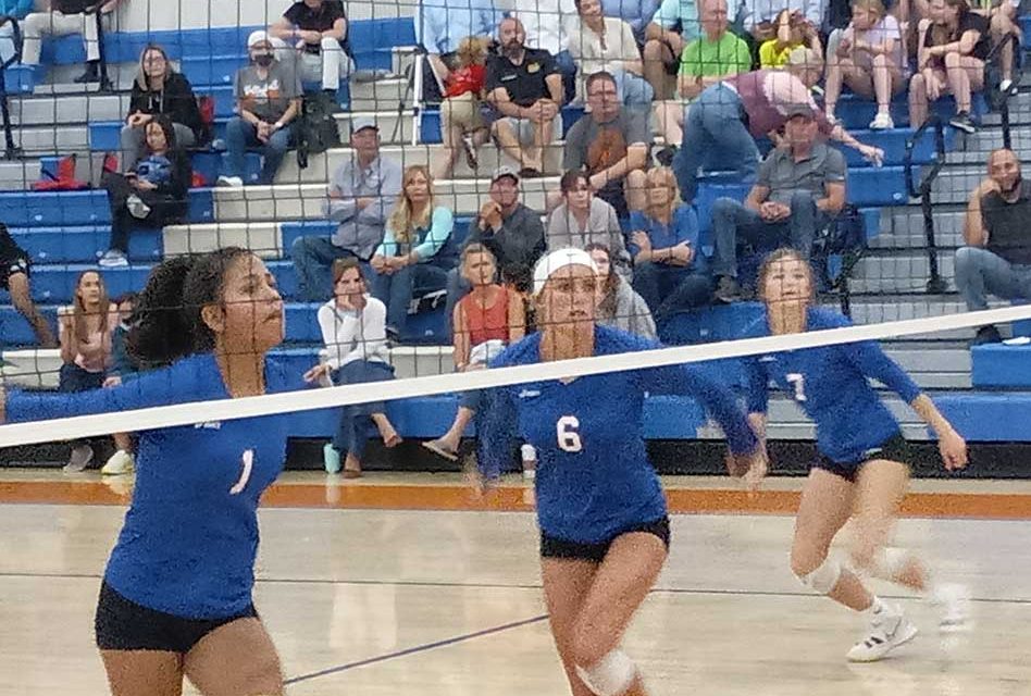 Harmony Longhorns’ Girls Volleyball Season Ends, Gateway Panthers Survives and Advances