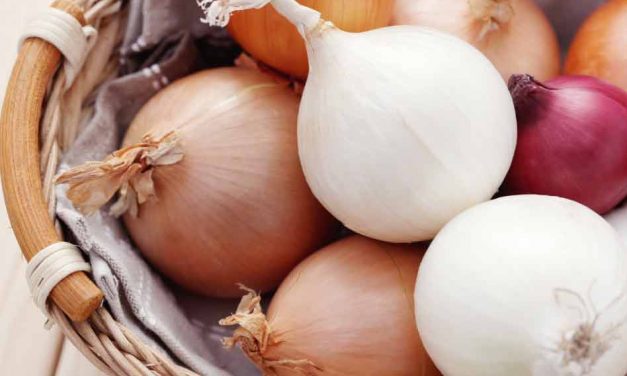 Preparing your Thanksgiving meal? Make sure these onions aren’t in your ingredients
